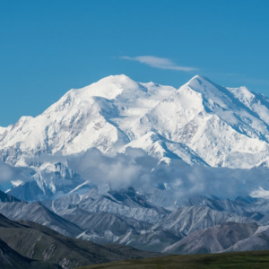 Denali Donation